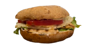 Fit Chicken Burger